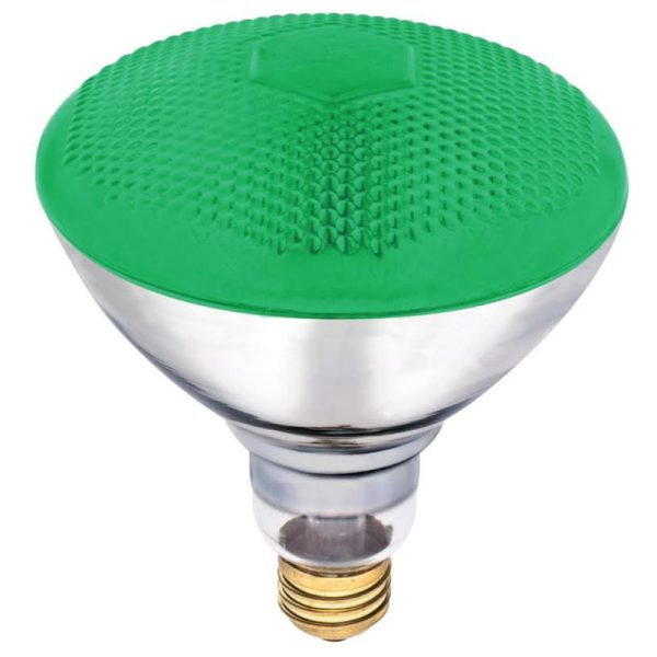 Westinghouse 100 W E26 Reflector Incandescent Bulb E26 (Medium) Green 1 pk