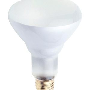 Westinghouse 65 W BR30 Floodlight Incandescent Bulb White 2 pk