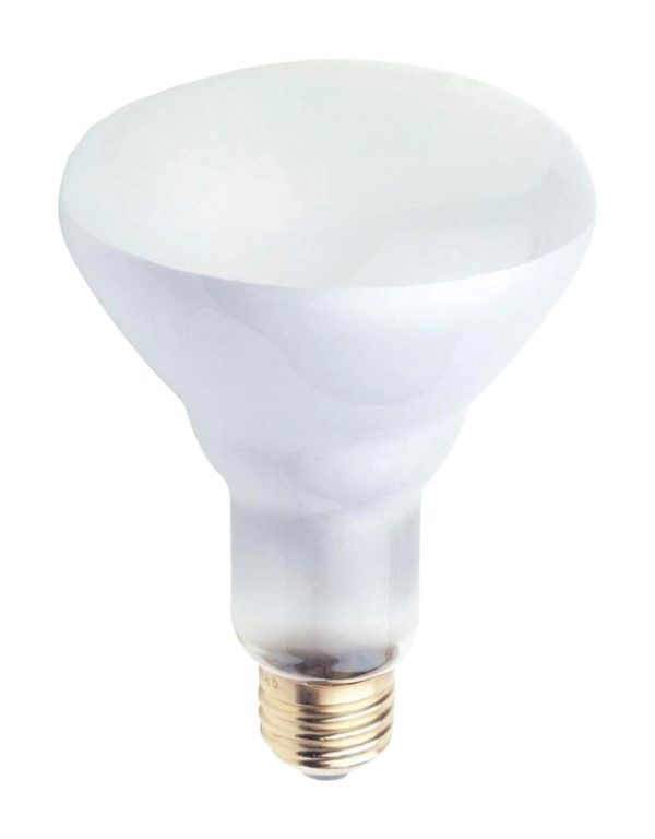 Westinghouse 65 W BR30 Floodlight Incandescent Bulb White 2 pk