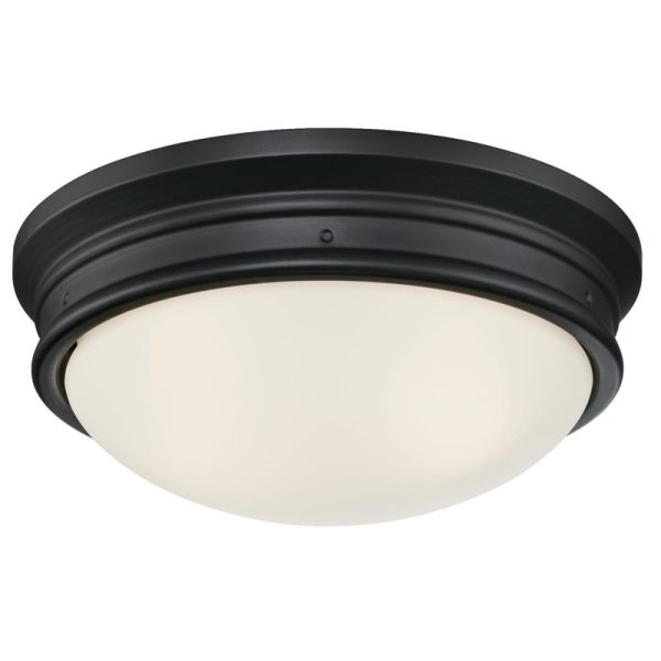 Westinghouse Meadowbrook Switch Incandescent Matte Black Wall Pack Light Fixture Hardwired