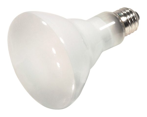 Satco 65 W BR30 Reflector Halogen Bulb 920 lm Warm White 1 pk