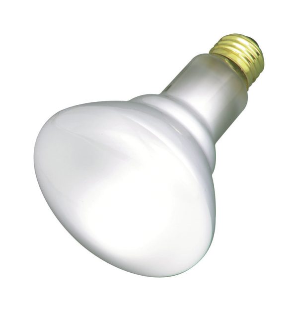 Satco 65 W BR30 Reflector Incandescent Bulb E26 (Medium) Soft White 2 pk