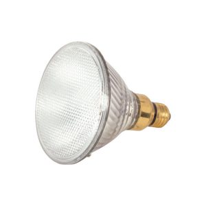Satco 60 W PAR38 Floodlight Halogen Bulb 1,090 lm Warm White 2 pk