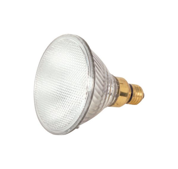 Satco 60 W PAR38 Floodlight Halogen Bulb 1,090 lm Warm White 2 pk