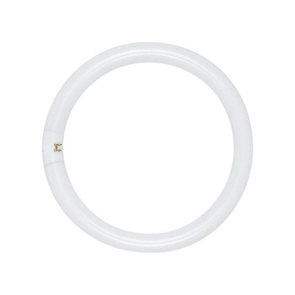 Satco 22 W T9 1.13 in. D X 8 in. L Circline Fluorescent Bulb Daylight Tubular 6500 K 1 pk
