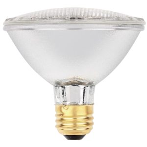 Westinghouse Eco 60 W PAR30 Floodlight Halogen Bulb 1,070 lm Bright White 1 pk