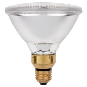 Westinghouse Eco 90 W PAR38 Floodlight Halogen Bulb 1,790 lm Warm White 2 pk