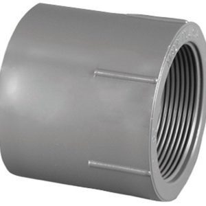 Charlotte Pipe Schedule 80 1/2 in. Slip X 1/2 in. D FPT PVC Adapter