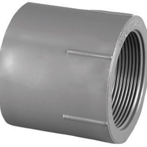 Charlotte Pipe Schedule 80 3/4 in. Slip X 3/4 in. D FPT PVC Pipe Adapter