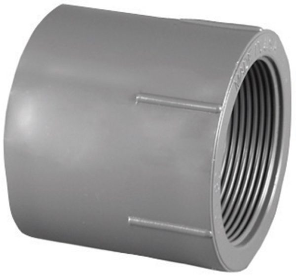 Charlotte Pipe Schedule 80 3/4 in. Slip X 3/4 in. D FPT PVC Pipe Adapter