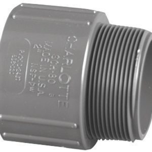 Charlotte Pipe 1/2 in. Slip X 1/2 in. D MPT PVC Adapter