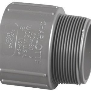 Charlotte Pipe 3/4 in. Slip X 3/4 in. D MPT PVC Adapter