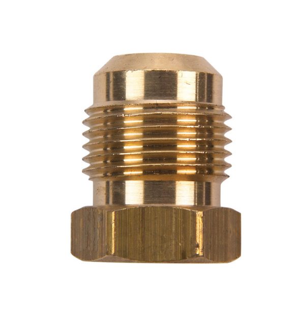 JMF Company 1/2 in. Flare Brass Plug