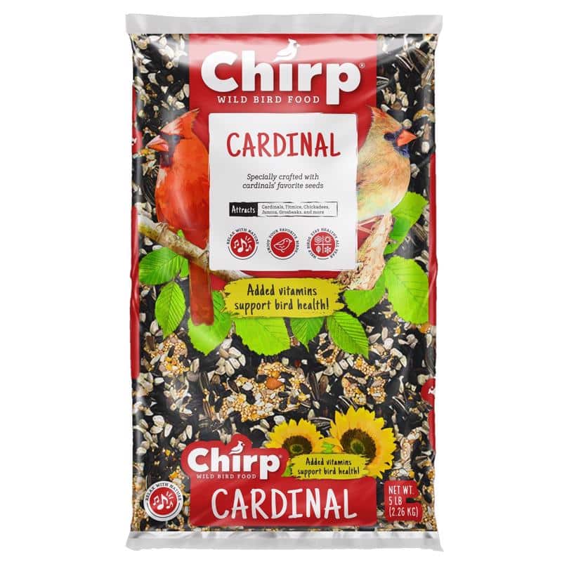 Chirp Cardinal Wild Bird Black Oil Sunflower Wild Bird Food 5 lb ...