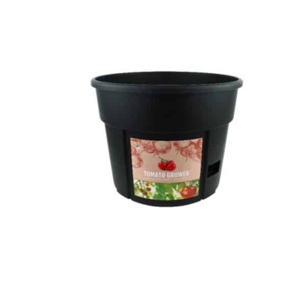 Buzzy Tomato Garden Kit 1 pk