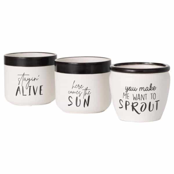 Sullivans Black/White Ceramic 4.5 in. H Fun Text Planter Set